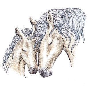 T-Shirt with Mare&Foal Embroidery