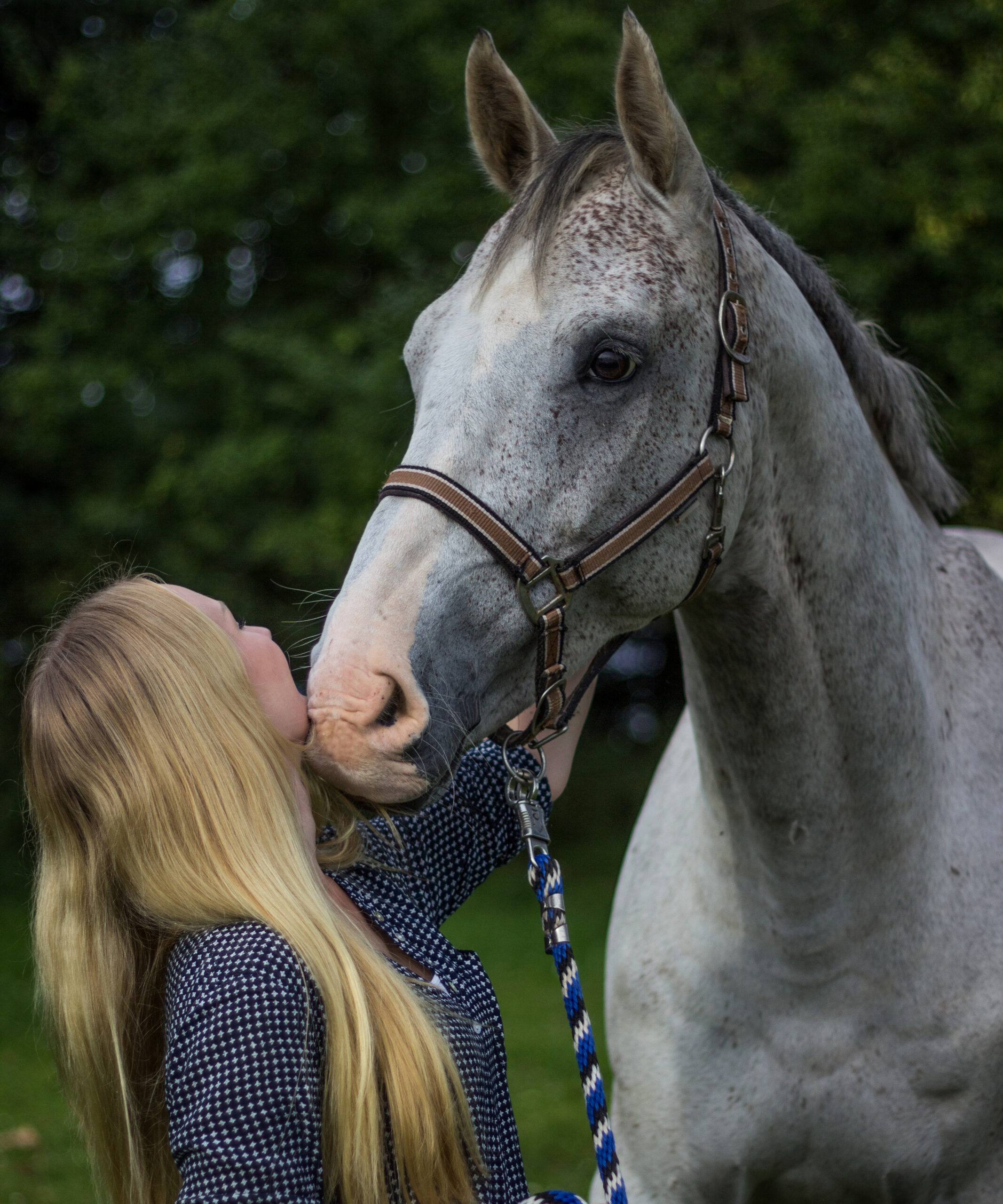 Horse Horse